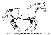 konie-galop